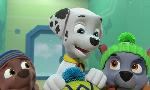 Revoir Paw patrol, la pat'patrouille du 11 Mars