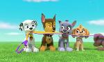 Revoir Paw patrol, la pat'patrouille du 13 Mars