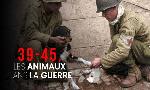 Revoir 39-45, les animaux dans la guerre du 15 Mars