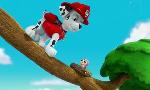 Revoir Paw patrol, la pat'patrouille du 18 Mars