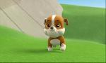 Revoir Paw patrol, la pat'patrouille du 21 Mars