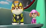 Revoir Paw patrol, la pat'patrouille du 27 Mars
