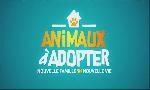 Revoir Animaux à adopter du 05 Avril