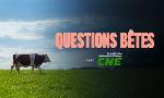Revoir Questions bêtes du 06 Avril