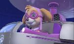 Revoir Paw patrol, la pat'patrouille du 18 Avril