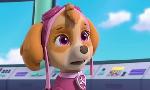 Revoir Paw patrol, la pat'patrouille du 18 Avril