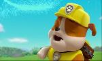 Revoir Paw patrol, la pat'patrouille du 21 Avril