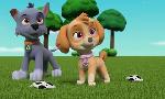 Revoir Paw patrol, la pat'patrouille du 21 Avril