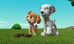 Revoir Paw patrol, la pat'patrouille du 21 Avril