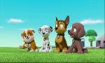 Revoir Paw patrol, la pat'patrouille du 22 Avril