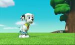 Revoir Paw patrol, la pat'patrouille du 24 Avril