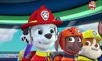 Revoir Paw patrol, la pat'patrouille du 29 Avril