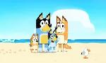 Revoir Bluey du 29 Avril