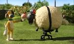 Revoir Shaun le mouton du 01 Mai