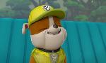 Revoir Paw patrol, la pat'patrouille du 09 Mai