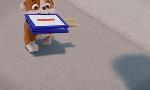 Revoir Paw patrol, la pat'patrouille du 11 Mai