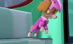 Revoir Paw patrol, la pat'patrouille du 12 Mai