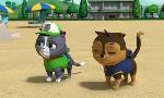 Revoir Paw patrol, la pat'patrouille du 12 Mai