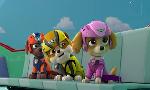 Revoir Paw patrol, la pat'patrouille du 13 Mai