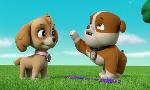 Revoir Paw patrol, la pat'patrouille du 13 Mai