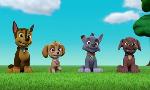 Revoir Paw patrol, la pat'patrouille du 15 Mai