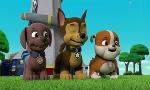Revoir Paw patrol, la pat'patrouille du 15 Mai