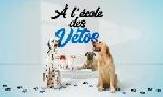 Revoir A l'école des vétos du 20 Mai