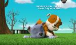 Revoir Paw patrol, la pat'patrouille du 21 Mai