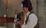 Revoir Rex, chien flic du 21 Mai