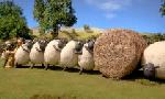 Revoir Shaun le mouton : mossy bottom farm du 22 Mai