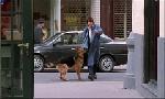 Revoir Rex, chien flic du 22 Mai
