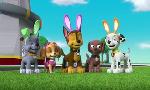 Revoir Paw patrol, la pat'patrouille du 23 Mai