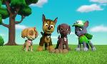 Revoir Paw patrol, la pat'patrouille du 23 Mai