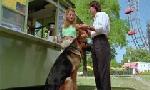 Revoir Rex, chien flic du 23 Mai