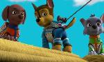 Revoir Paw patrol, la pat'patrouille du 24 Mai