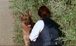 Revoir Rex, chien flic du 26 Mai