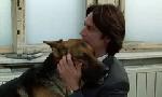Revoir Rex, chien flic du 27 Mai