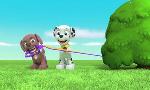 Revoir Paw patrol, la pat'patrouille du 29 Mai