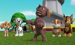 Revoir Paw patrol, la pat'patrouille du 29 Mai