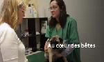 Revoir La france en vrai du 30 Mai