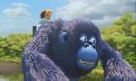 Revoir Les as de la jungle à la rescousse du 01 Juin