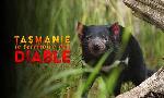 Revoir Tasmanie, le territoire des diables du 07 Juin