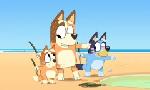 Revoir Bluey du 18 Mai