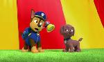 Revoir Paw patrol, la pat'patrouille du 12 Juin