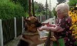 Revoir Rex, chien flic du 12 Juin