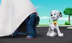 Revoir Paw patrol, la pat'patrouille du 16 Juin