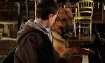 Revoir Rex, chien flic du 16 Juin