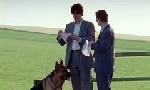 Revoir Rex, chien flic du 03 Juin