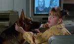 Revoir Rex, chien flic du 04 Juin