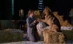 Revoir Rex, chien flic du 04 Juin